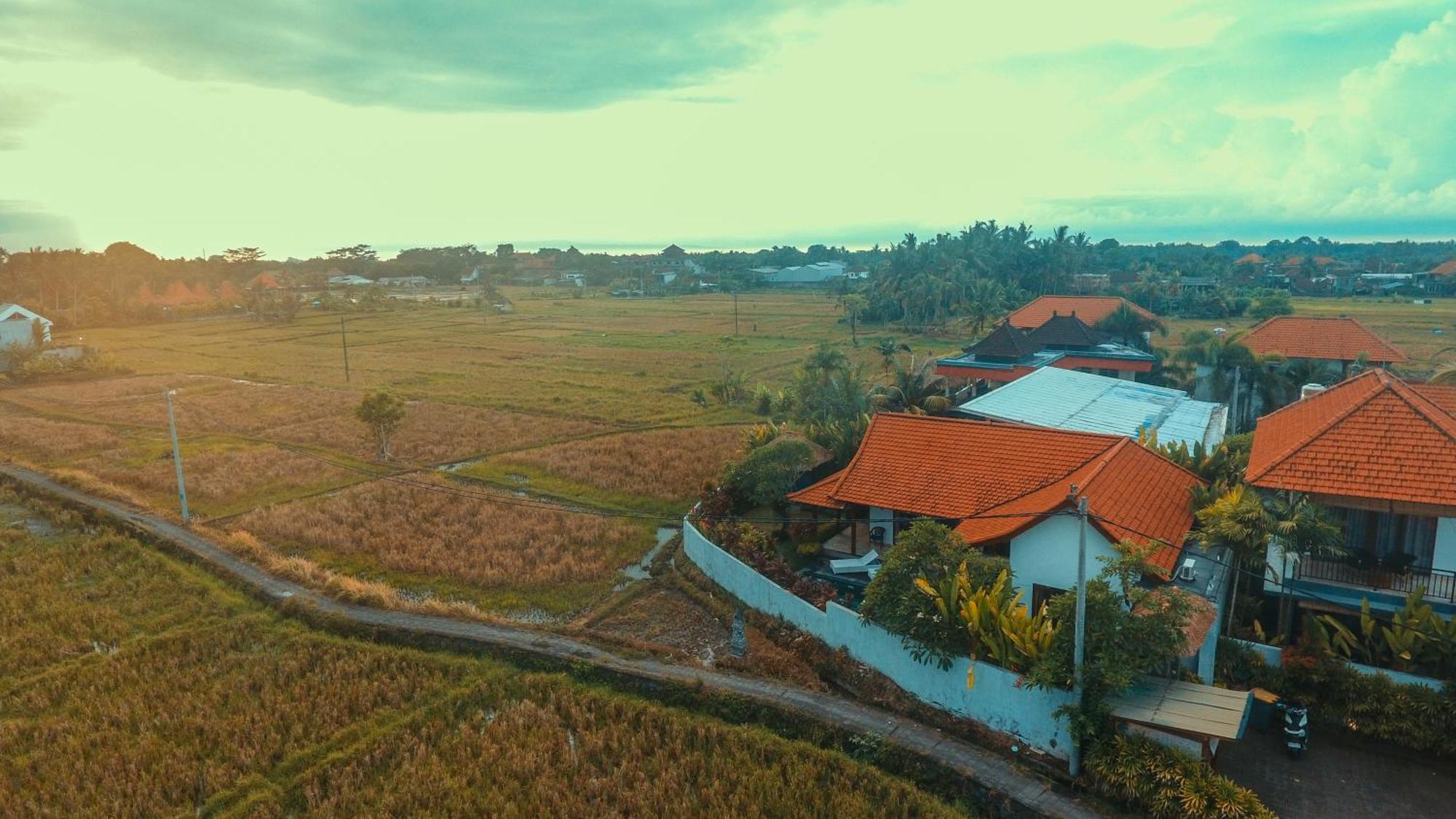 Villa Maya Ubud, Peaceful Rice Field View المظهر الخارجي الصورة
