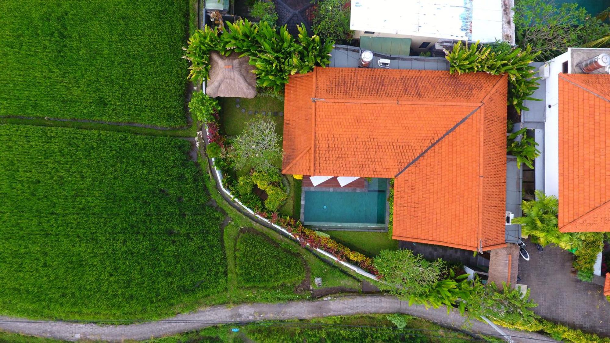 Villa Maya Ubud, Peaceful Rice Field View المظهر الخارجي الصورة