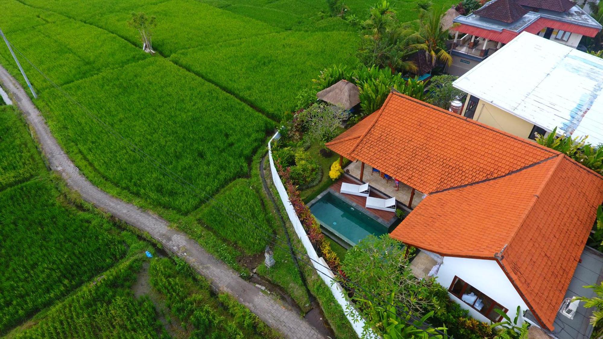 Villa Maya Ubud, Peaceful Rice Field View المظهر الخارجي الصورة