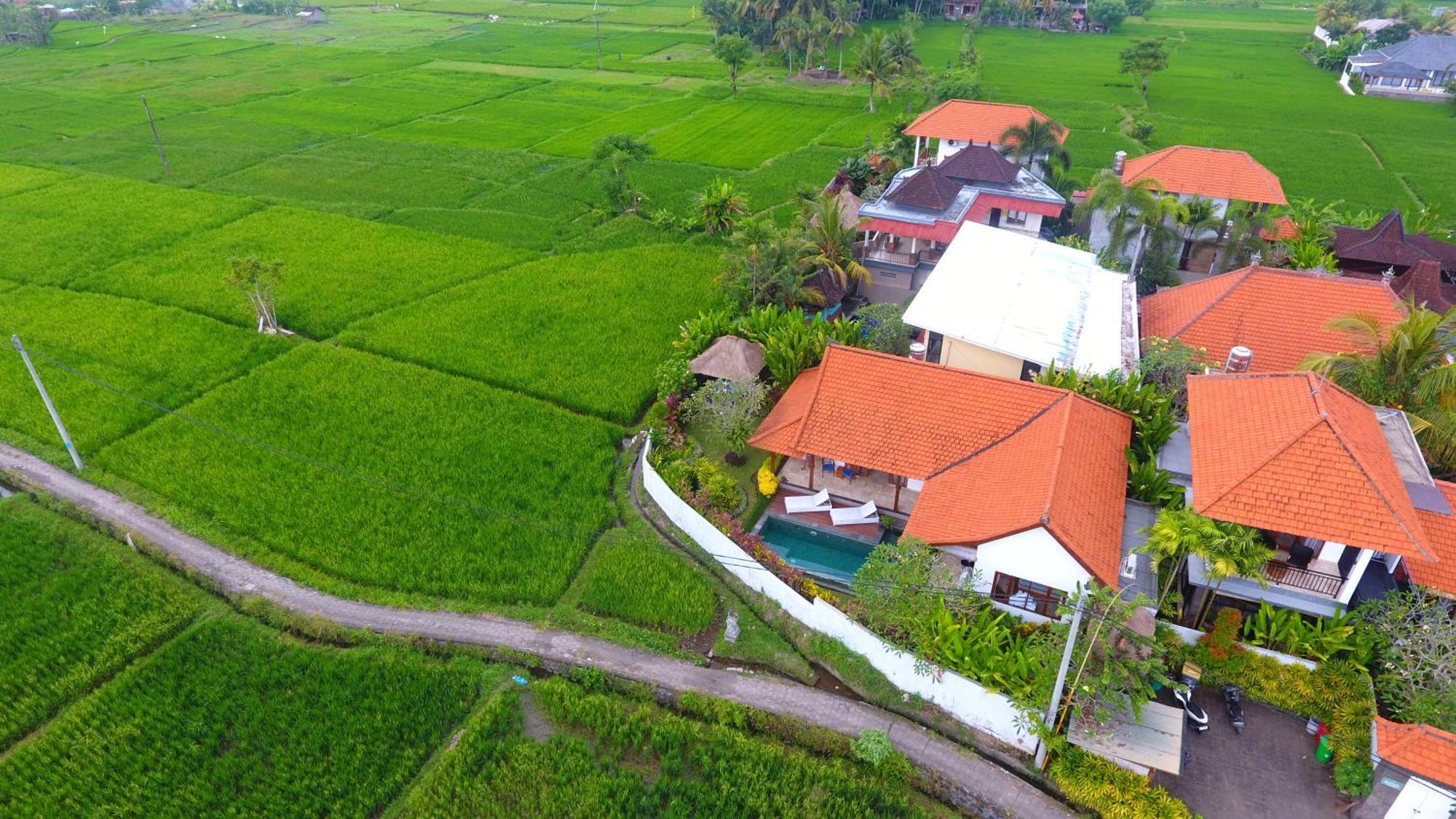 Villa Maya Ubud, Peaceful Rice Field View المظهر الخارجي الصورة
